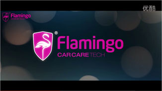 Flamingo LifePaint-Youku